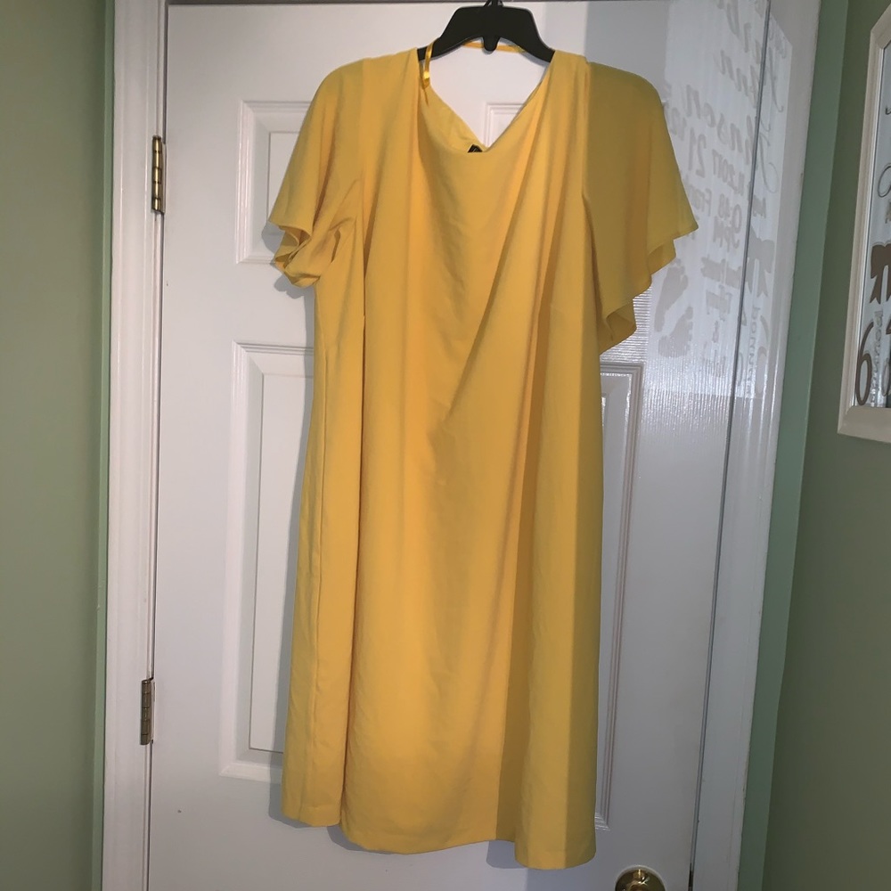 Eloquii Flutter Sleeve Shift Dress Sz 20